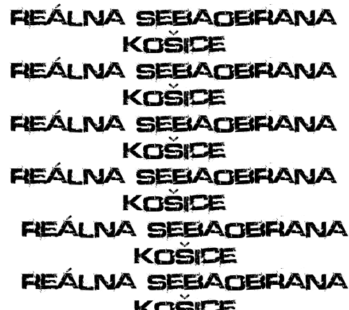 realna_sebaobrana_kosice_logo_fillup realna_sebaobrana_kosice_logo_fillup